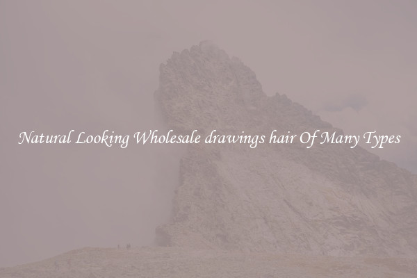 Natural Looking Wholesale drawings hair Of Many Types