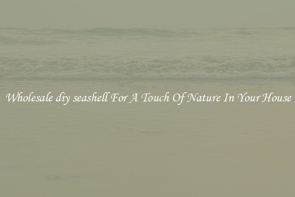 Wholesale diy seashell For A Touch Of Nature In Your House