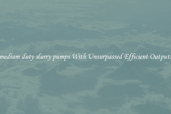 medium duty slurry pumps With Unsurpassed Efficient Outputs