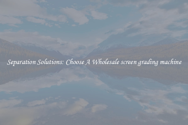 Separation Solutions: Choose A Wholesale screen grading machine
