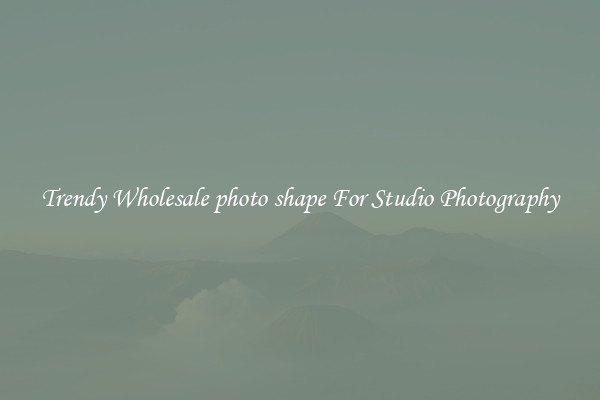 Trendy Wholesale photo shape For Studio Photography