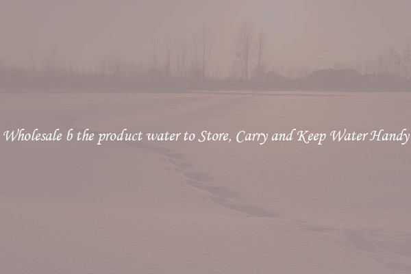 Wholesale b the product water to Store, Carry and Keep Water Handy