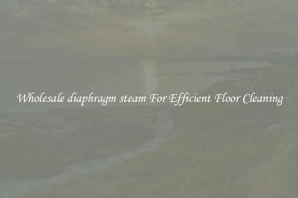 Wholesale diaphragm steam For Efficient Floor Cleaning