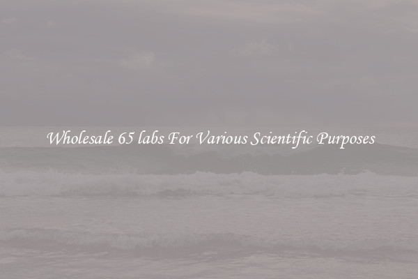 Wholesale 65 labs For Various Scientific Purposes