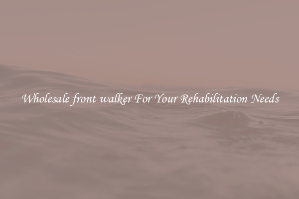 Wholesale front walker For Your Rehabilitation Needs