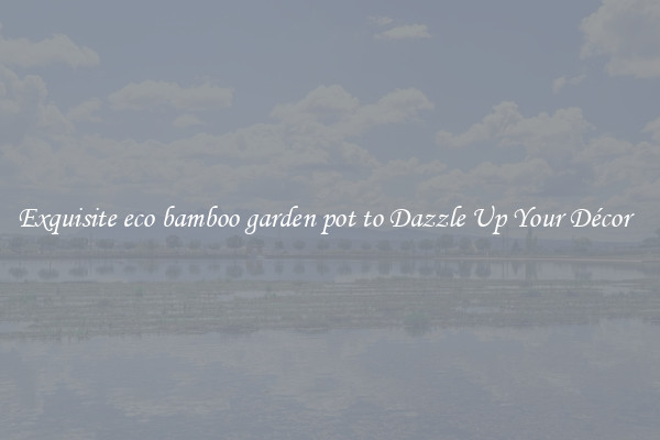 Exquisite eco bamboo garden pot to Dazzle Up Your Décor  