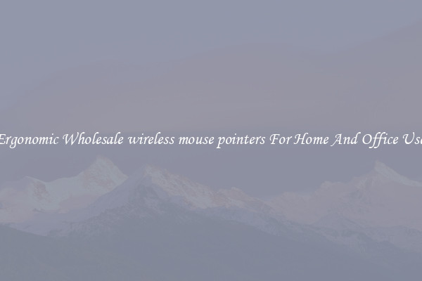 Ergonomic Wholesale wireless mouse pointers For Home And Office Use.