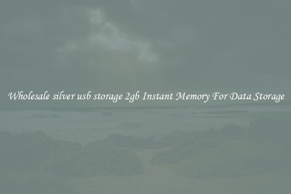 Wholesale silver usb storage 2gb Instant Memory For Data Storage