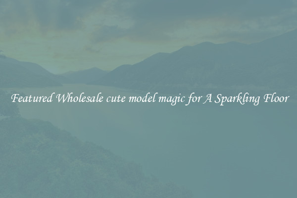Featured Wholesale cute model magic for A Sparkling Floor