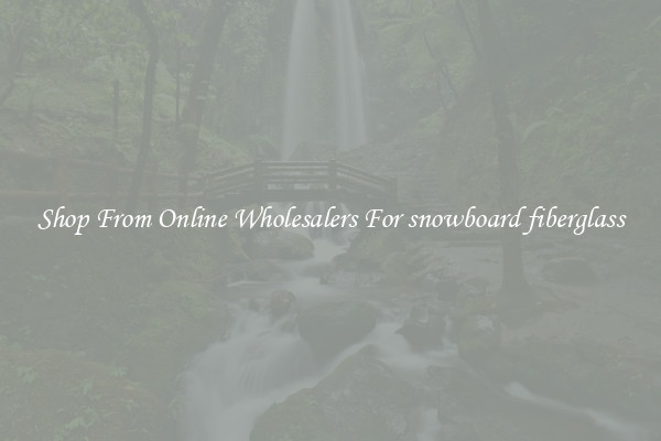 Shop From Online Wholesalers For snowboard fiberglass