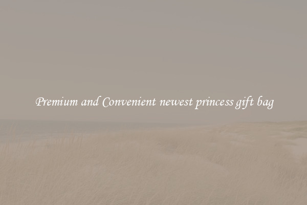 Premium and Convenient newest princess gift bag