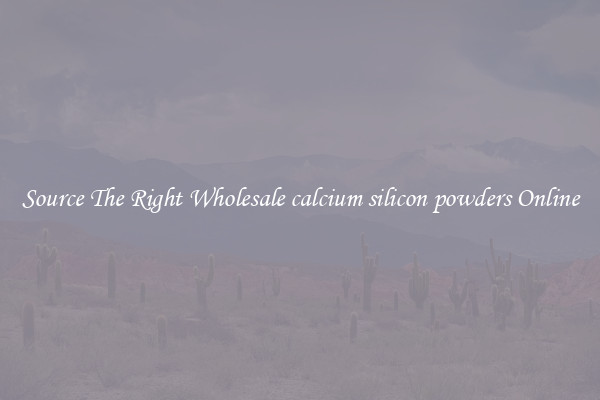 Source The Right Wholesale calcium silicon powders Online