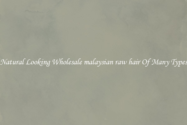 Natural Looking Wholesale malaysian raw hair Of Many Types