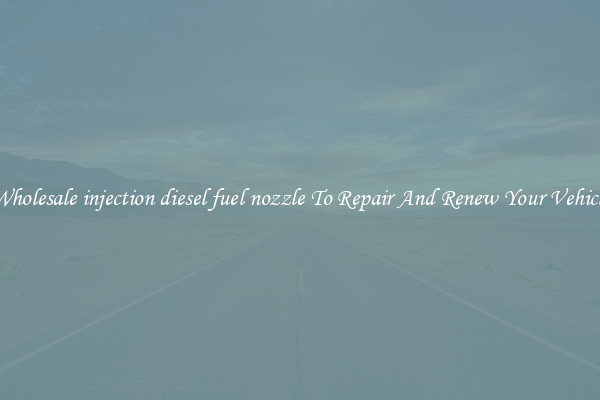 Wholesale injection diesel fuel nozzle To Repair And Renew Your Vehicle
