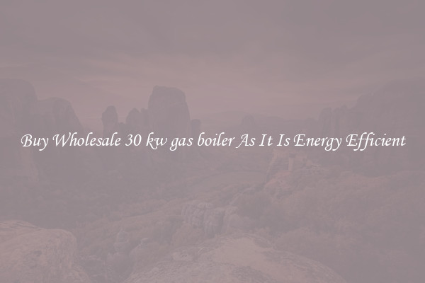 Buy Wholesale 30 kw gas boiler As It Is Energy Efficient