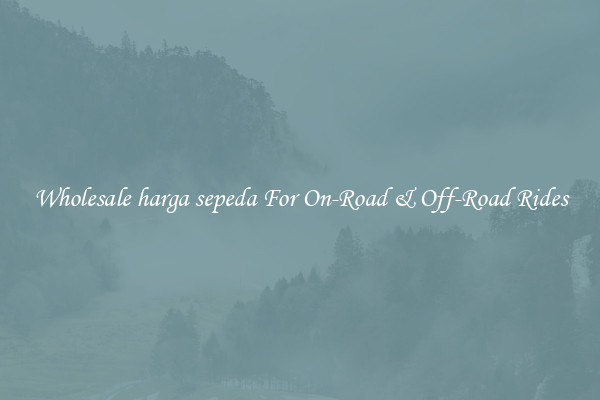 Wholesale harga sepeda For On-Road & Off-Road Rides