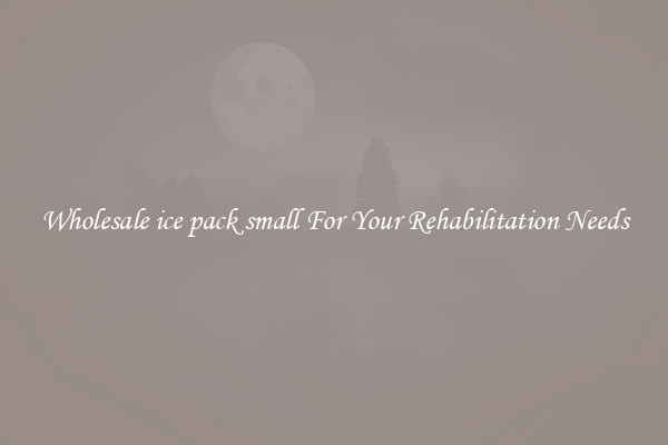 Wholesale ice pack small For Your Rehabilitation Needs