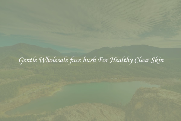 Gentle Wholesale face bush For Healthy Clear Skin
