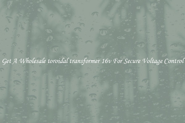 Get A Wholesale toroidal transformer 16v For Secure Voltage Control