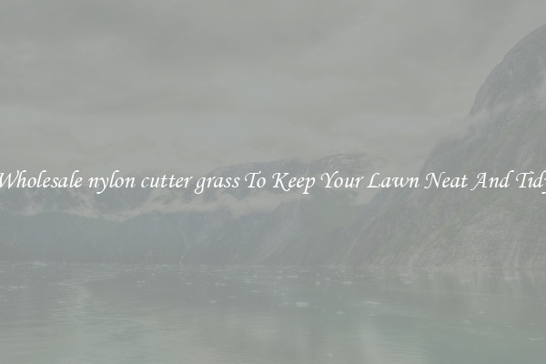 Wholesale nylon cutter grass To Keep Your Lawn Neat And Tidy
