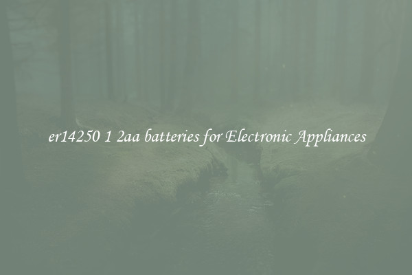 er14250 1 2aa batteries for Electronic Appliances