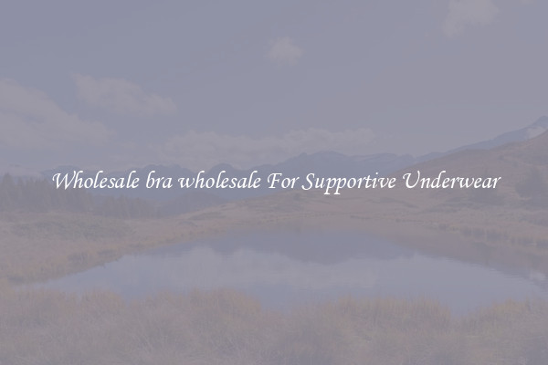 Wholesale bra wholesale For Supportive Underwear