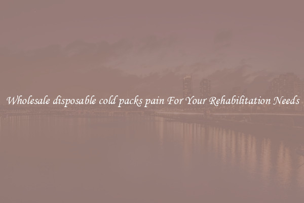 Wholesale disposable cold packs pain For Your Rehabilitation Needs