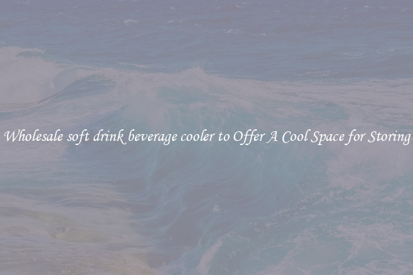 Wholesale soft drink beverage cooler to Offer A Cool Space for Storing