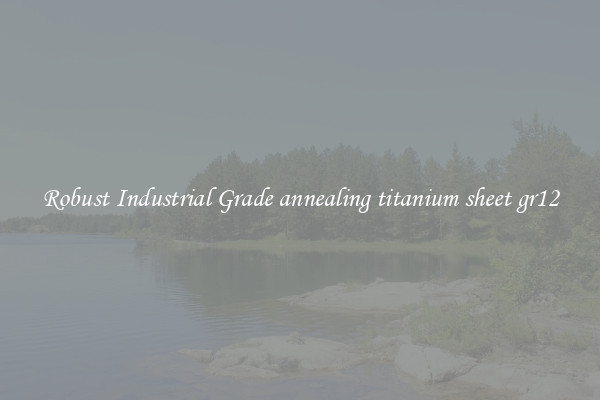 Robust Industrial Grade annealing titanium sheet gr12