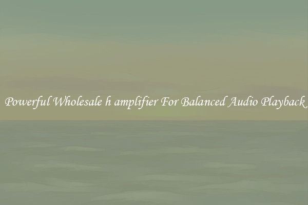 Powerful Wholesale h amplifier For Balanced Audio Playback