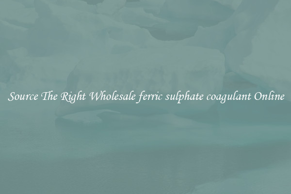 Source The Right Wholesale ferric sulphate coagulant Online