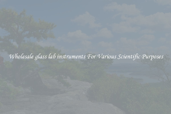 Wholesale glass lab instruments For Various Scientific Purposes